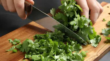 garnishing-instructions-image